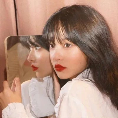 千年鹤