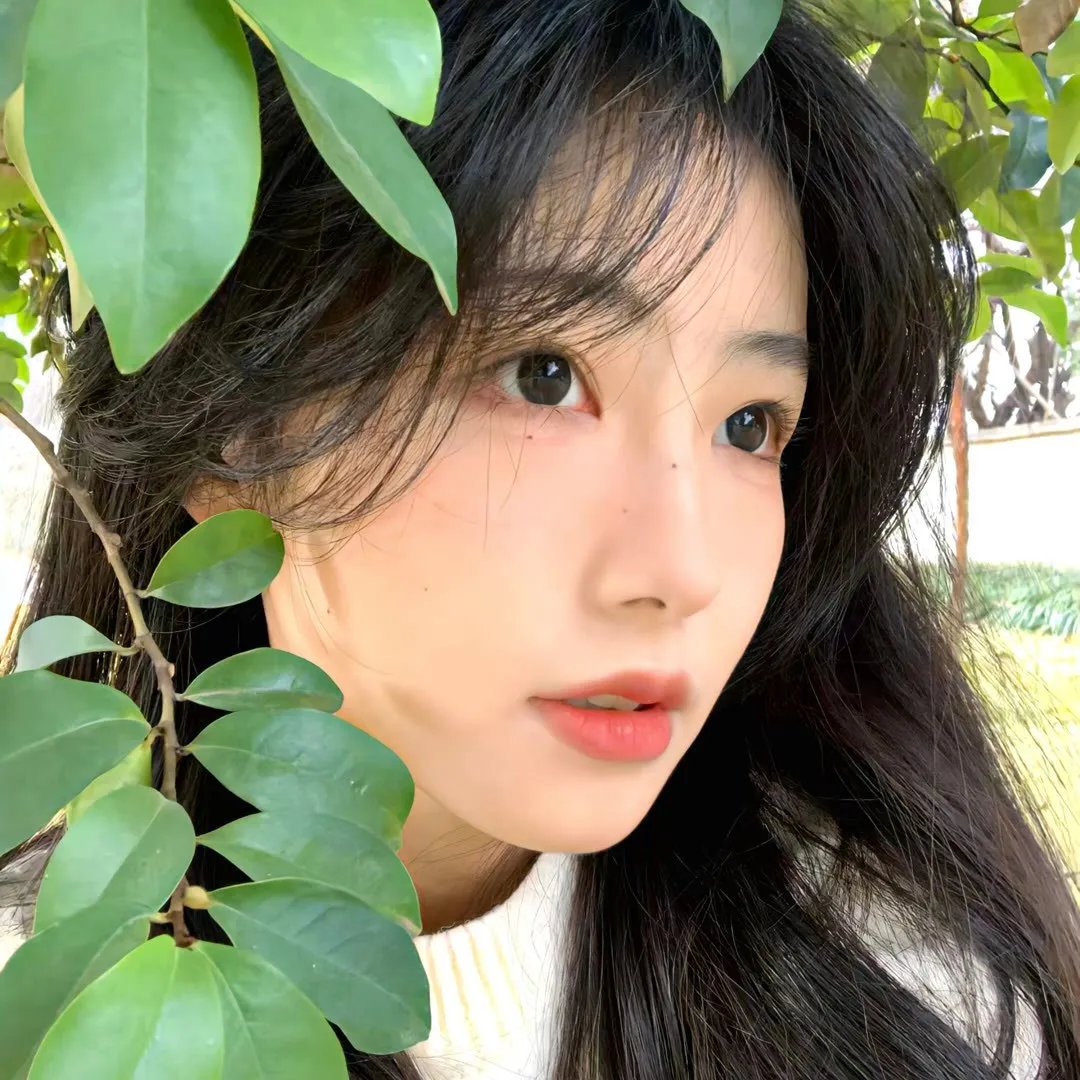 森林之境